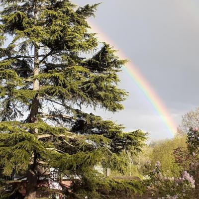 Arc en ciel