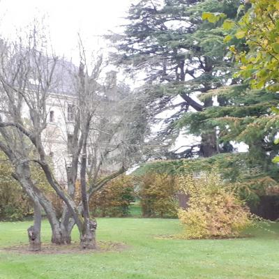 Manoir vue ouest 02