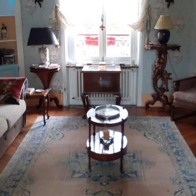 Salon bleu vue